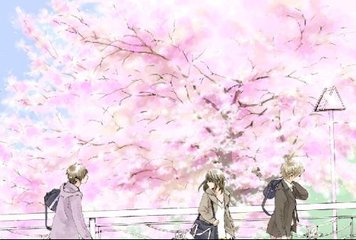 含羞草2024研究所最新入口
